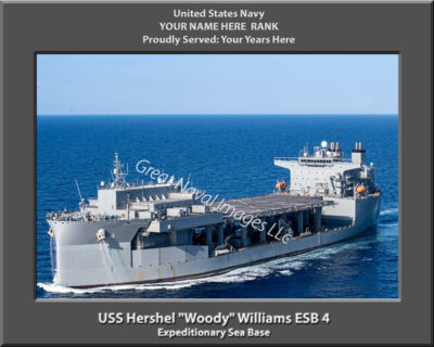 USS Hershel Woody Williams ESB 4 Personalized Ship Print