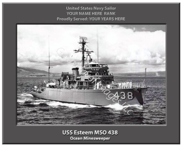 USS Esteem MSO 438 Navy Ship Photo