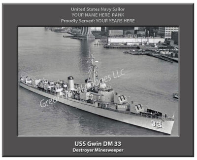 USS Gwin DM 33 Navy Ship Photo